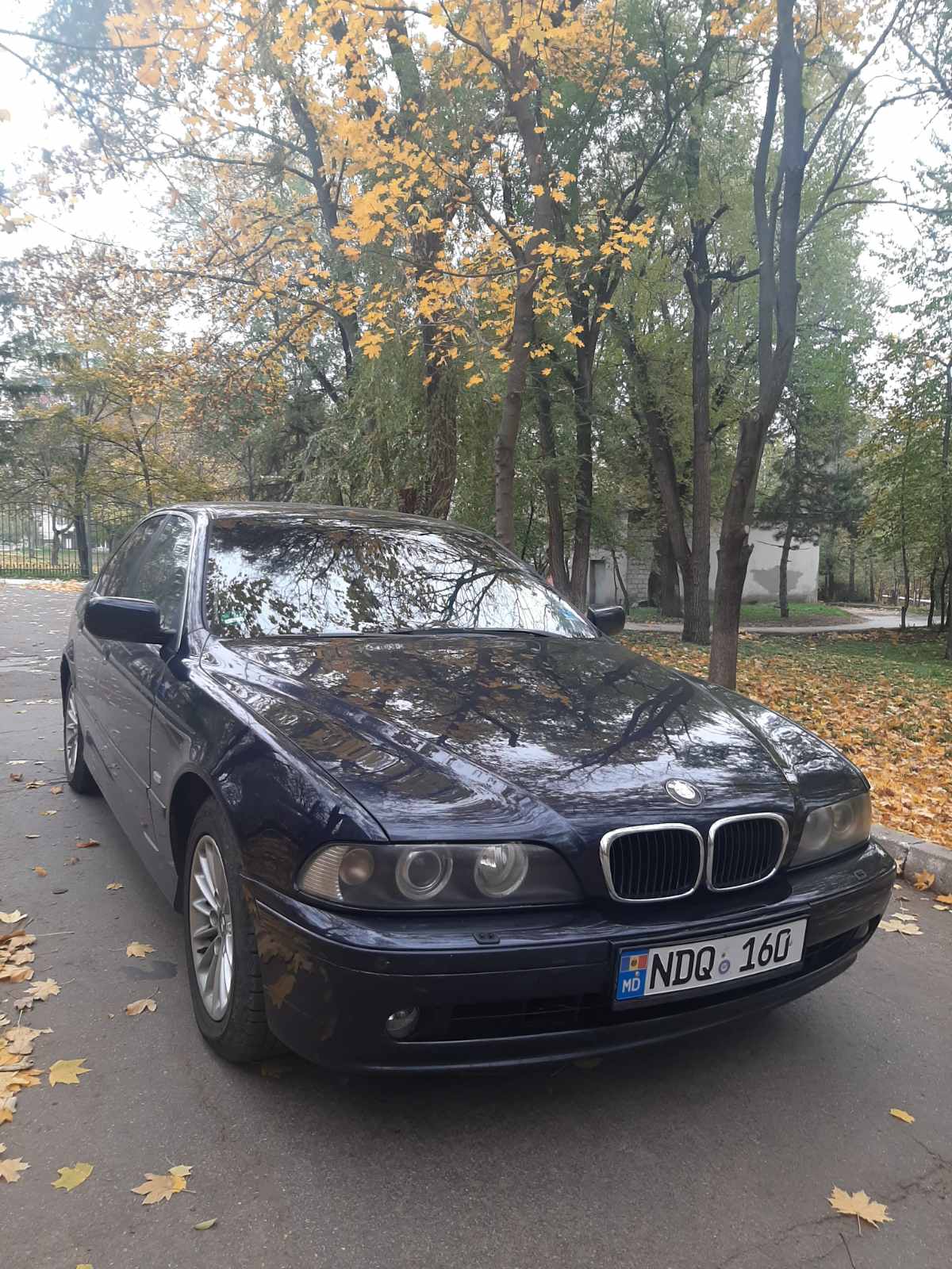 Авто 13